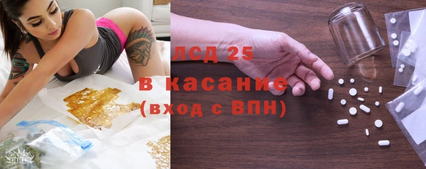 стаф Алзамай