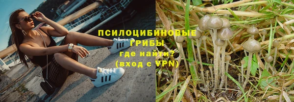 эйфоретик Алексеевка