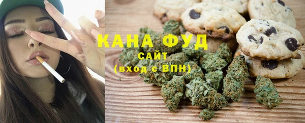 стаф Алзамай