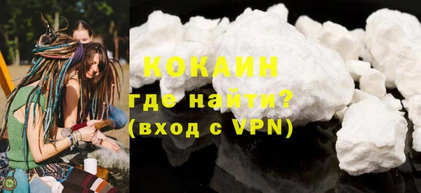 стаф Алзамай